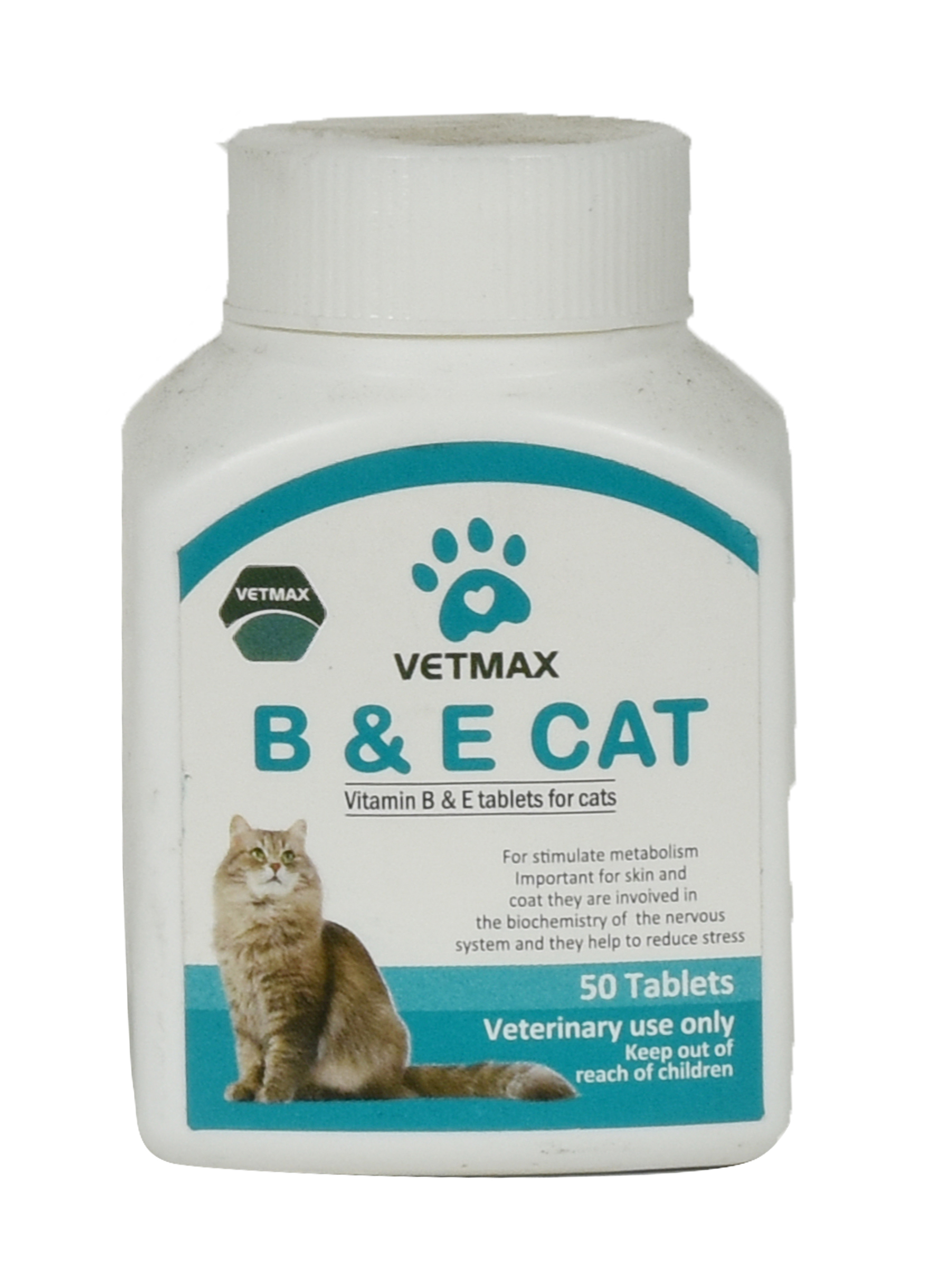 B and E Cat Tablets